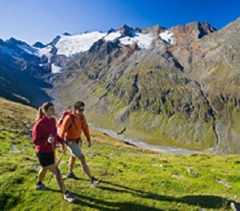 Image for Holistic Herbal Health with ID of: 824883