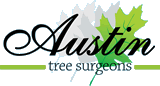 Image for Tree Surgeons of Austin with ID of: 825355
