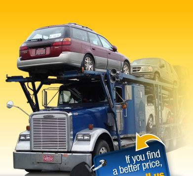 Image for AutoMove with ID of: 826776