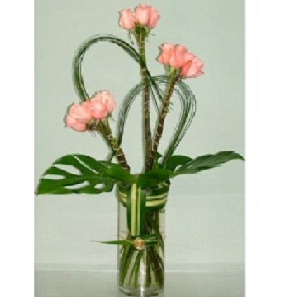 Image for Amazing Flowers Miami with ID of: 827052