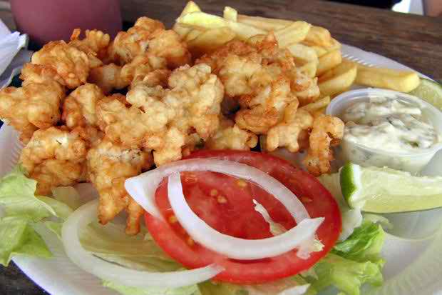 Image for Sheila's Conch & Wings with ID of: 828073
