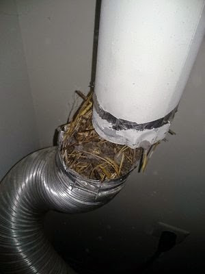 Image for Diamond Ductworks and HVAC with ID of: 828556