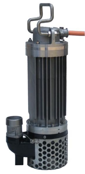 Image for Stancor Pumps with ID of: 829121