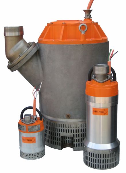 Image for Stancor Pumps with ID of: 829125
