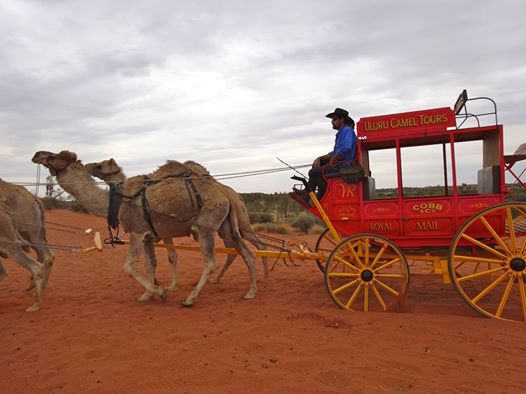 Image for Uluru Travel with ID of: 829949
