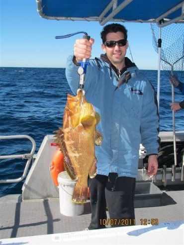 Image for Frenzy Charters with ID of: 829990