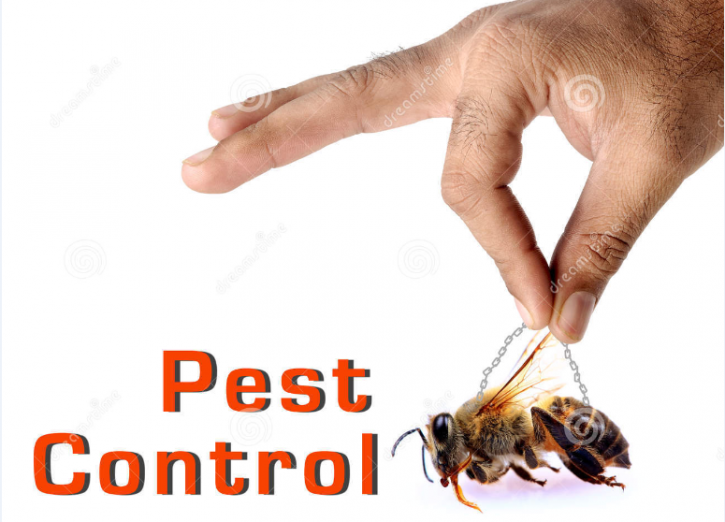 Image for BigFoot Pest Control with ID of: 831623
