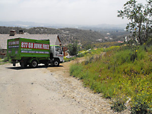 Image for Go Junk Free America with ID of: 833660