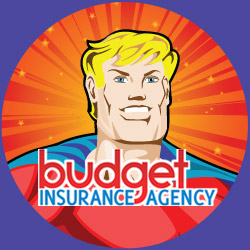 Image for Budget Insurance Agency with ID of: 833946