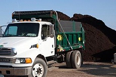 Image for The Sagamore Companies with ID of: 834529