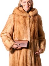 Image for York Furrier with ID of: 834616