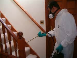 Image for Pest Control Pros NYC with ID of: 837431