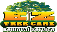 Image for Tree Service South Jersey with ID of: 839929