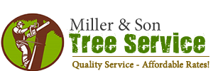Image for Miller Son Tree Service with ID of: 839936