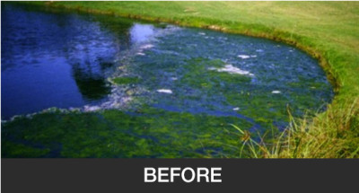 Image for Natural Golf Solutions Inc. with ID of: 840638