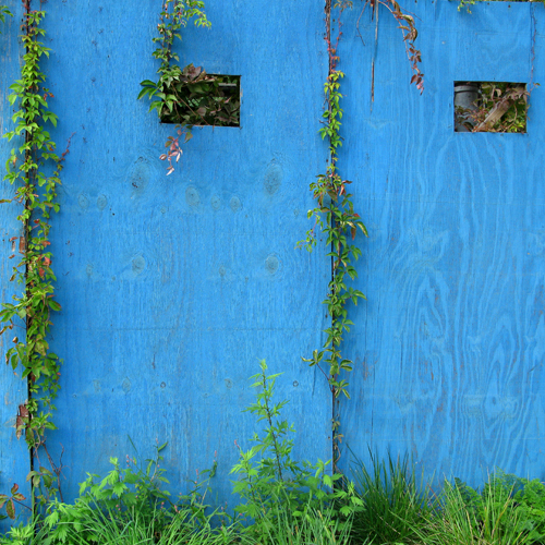 Image for why so blue? with ID of: 84379