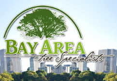 Image for Bay Area Tree Specialists with ID of: 844928