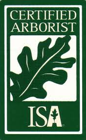 Image for Bay Area Tree Specialists with ID of: 844932