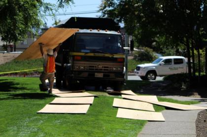 Image for Bay Area Tree Specialists with ID of: 844935
