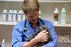 Image for Verdin Veterinary Services P.A. with ID of: 847024