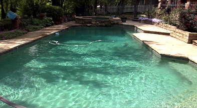 Image for Carefree Solutions LLC with ID of: 847609