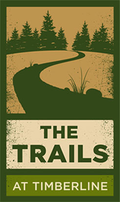 Image for Is a Studio Apartment in Fort Collins Right for You? with ID of: 850881