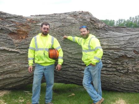 Image for Matt's Tree Service with ID of: 851399