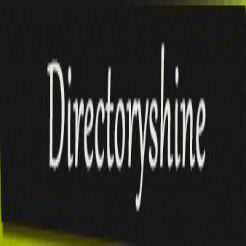 Image for Directoryshine with ID of: 851674