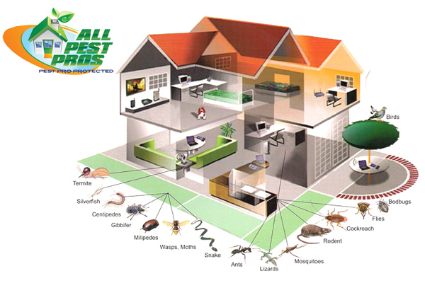 Image for All Pest Pros with ID of: 853486