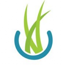 Image for Aquatic Management Strategies with ID of: 853940