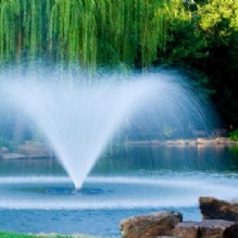 Image for Aquatic Management Strategies with ID of: 853951