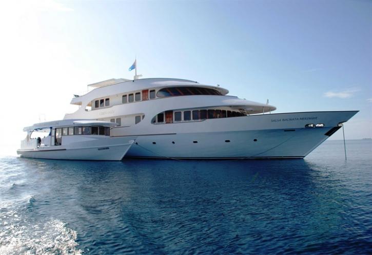 Image for DiveAdventuresAsia with ID of: 855121