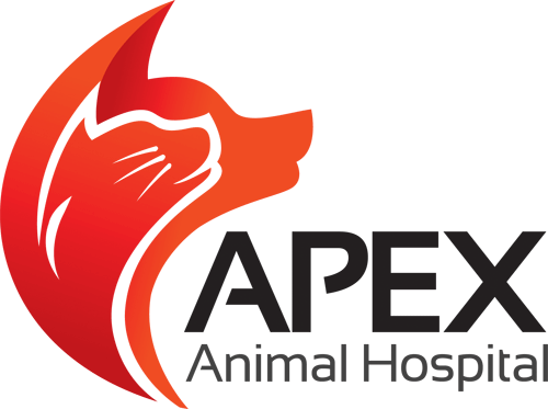 Image for Apex Animal Hospital with ID of: 855441