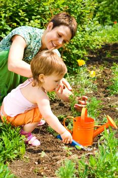 Image for Little Owl Learning Academy with ID of: 855781