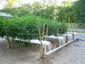 Image for Hydroponics Depot with ID of: 857589