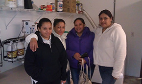 Image for The Tidy Maids with ID of: 858499