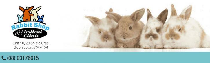 Image for Rabbit Care with ID of: 862800