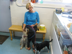Image for Brian's Kennels, Training & Quality Grooming with ID of: 863595