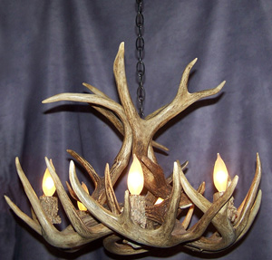 Image for antler lamp with ID of: 864489