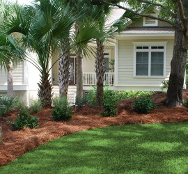 Image for Charleston Plantworks LLC with ID of: 864693