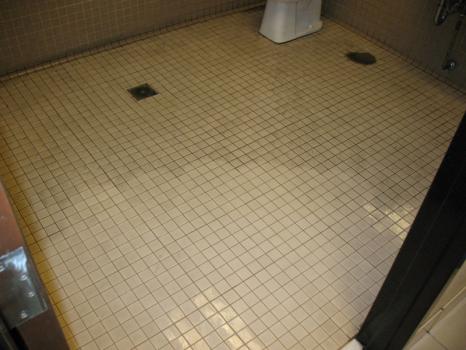 Image for Tampa Tile Cleaning.com with ID of: 865088