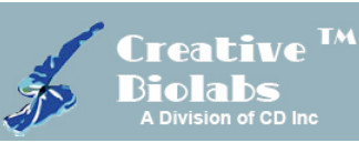 Image for phage display product with ID of: 865244