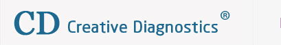 Image for Antibodies with ID of: 865701