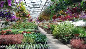 Image for Way To Grow Denver with ID of: 865946