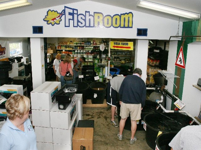 Image for Pond Market with ID of: 866839