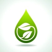 Image for Nova Carpet & Upholstery Care Inc with ID of: 867444