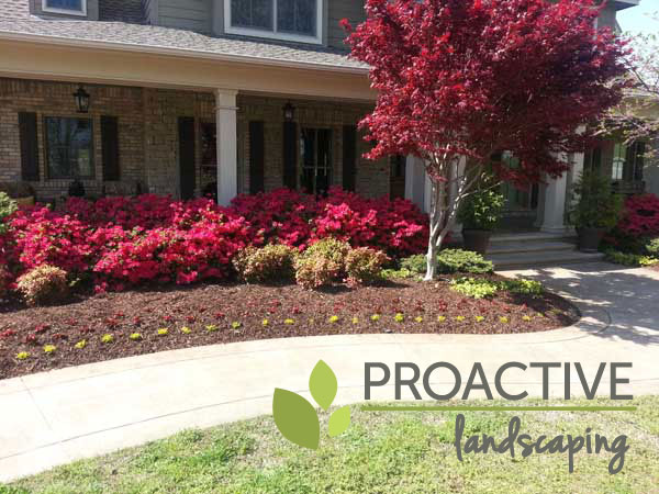 Image for ProActive Landscaping with ID of: 868929