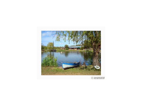Image for Amy Hanson - Keller Williams with ID of: 869666