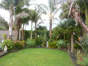 Image for Evolution Landscapes with ID of: 871742