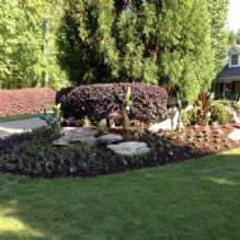 Image for Elite Hardscape & Water Gardens with ID of: 871938